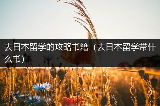 去日本留学的攻略书籍（去日本留学带什么书）
