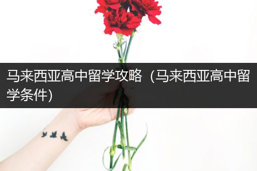 马来西亚高中留学攻略（马来西亚高中留学条件）