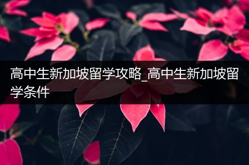 高中生新加坡留学攻略_高中生新加坡留学条件