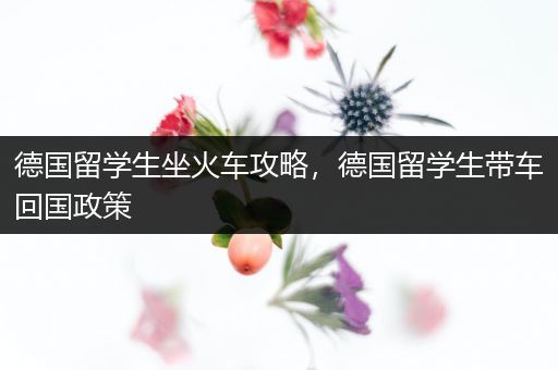 德国留学生坐火车攻略，德国留学生带车回国政策