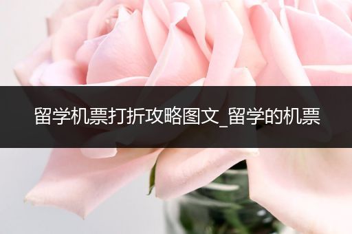 留学机票打折攻略图文_留学的机票