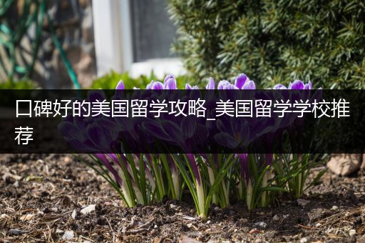 口碑好的美国留学攻略_美国留学学校推荐