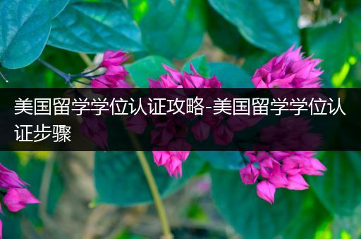 美国留学学位认证攻略-美国留学学位认证步骤