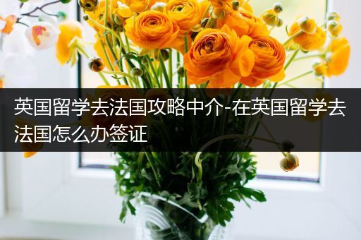 英国留学去法国攻略中介-在英国留学去法国怎么办签证