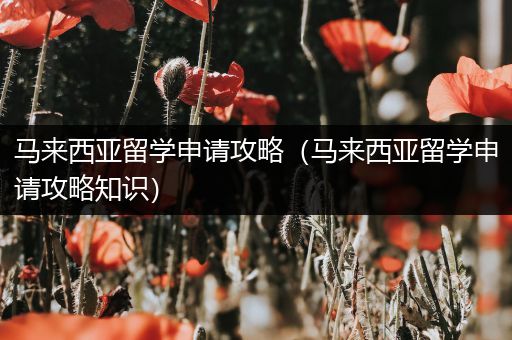 马来西亚留学申请攻略（马来西亚留学申请攻略知识）