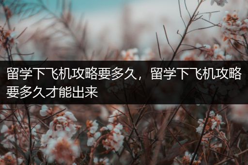 留学下飞机攻略要多久，留学下飞机攻略要多久才能出来