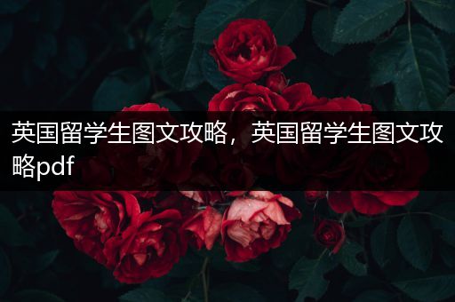 英国留学生图文攻略，英国留学生图文攻略pdf