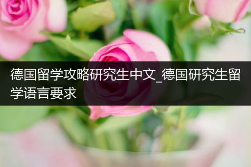 德国留学攻略研究生中文_德国研究生留学语言要求