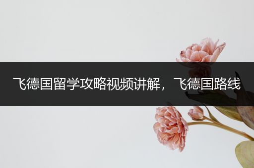 飞德国留学攻略视频讲解，飞德国路线