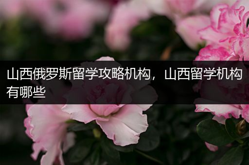 山西俄罗斯留学攻略机构，山西留学机构有哪些