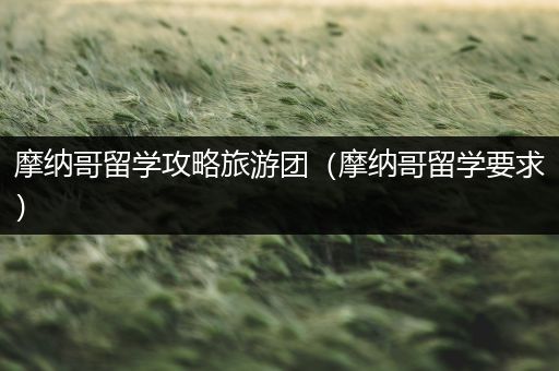 摩纳哥留学攻略旅游团（摩纳哥留学要求）