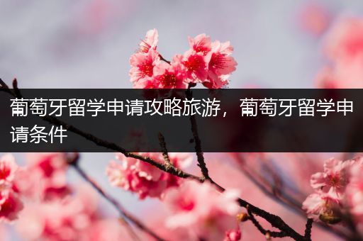 葡萄牙留学申请攻略旅游，葡萄牙留学申请条件
