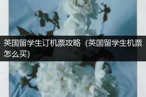 英国留学生订机票攻略（英国留学生机票怎么买）