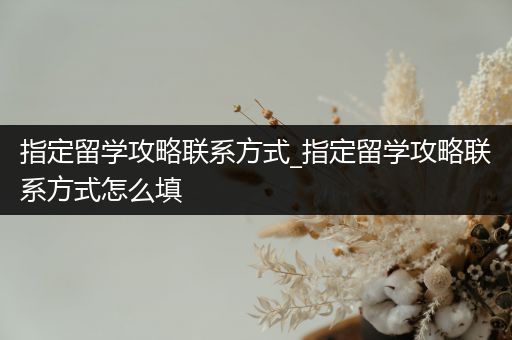 指定留学攻略联系方式_指定留学攻略联系方式怎么填
