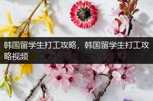 韩国留学生打工攻略，韩国留学生打工攻略视频