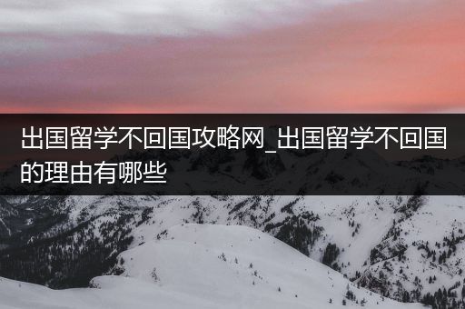 出国留学不回国攻略网_出国留学不回国的理由有哪些