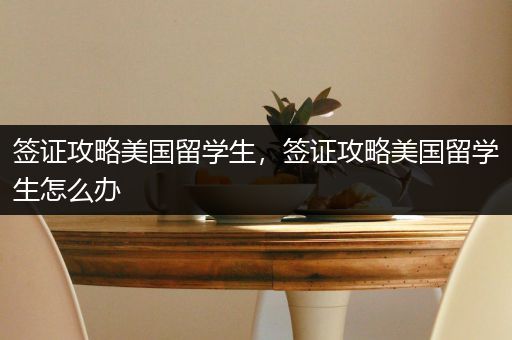 签证攻略美国留学生，签证攻略美国留学生怎么办