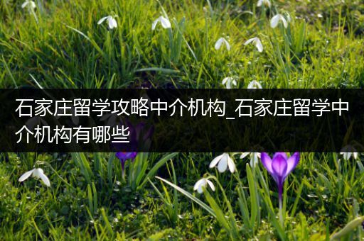 石家庄留学攻略中介机构_石家庄留学中介机构有哪些