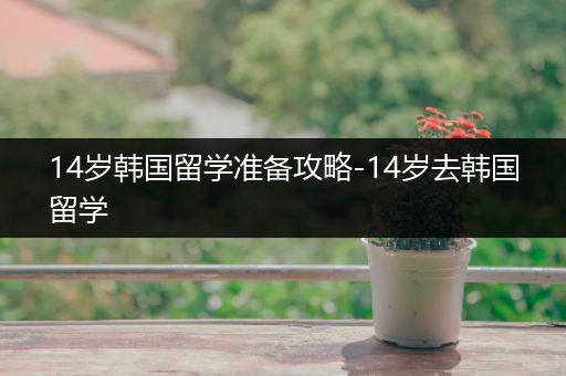 14岁韩国留学准备攻略-14岁去韩国留学