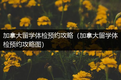 加拿大留学体检预约攻略（加拿大留学体检预约攻略图）