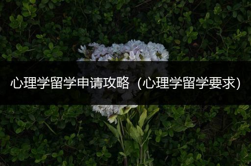 心理学留学申请攻略（心理学留学要求）