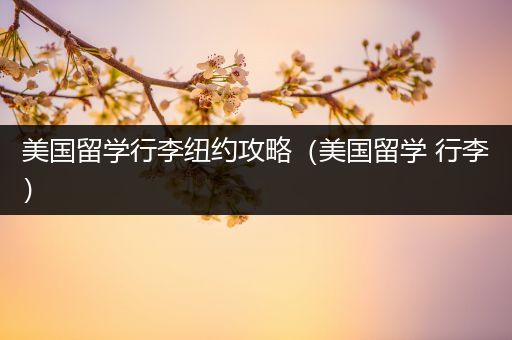 美国留学行李纽约攻略（美国留学 行李）