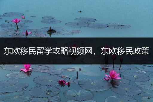 东欧移民留学攻略视频网，东欧移民政策