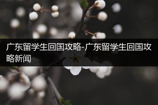 广东留学生回国攻略-广东留学生回国攻略新闻