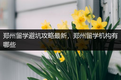 郑州留学避坑攻略最新，郑州留学机构有哪些