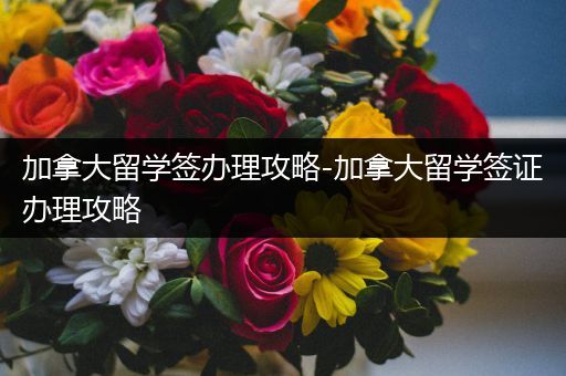 加拿大留学签办理攻略-加拿大留学签证办理攻略