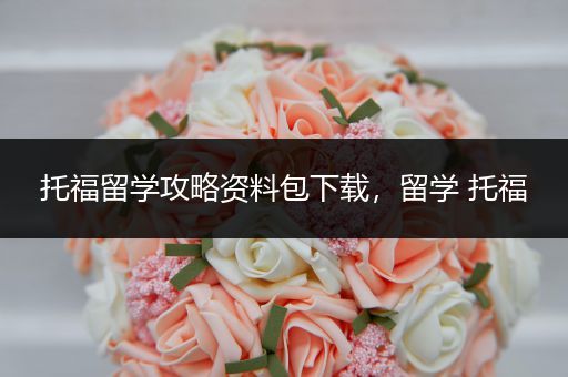 托福留学攻略资料包下载，留学 托福