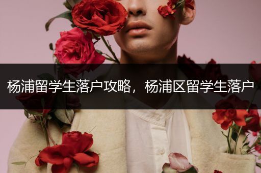 杨浦留学生落户攻略，杨浦区留学生落户