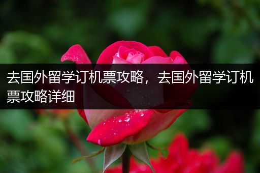 去国外留学订机票攻略，去国外留学订机票攻略详细