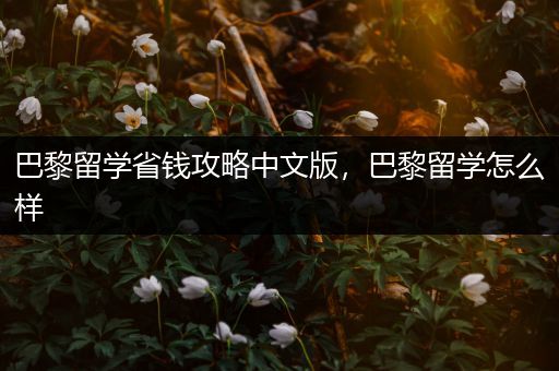 巴黎留学省钱攻略中文版，巴黎留学怎么样