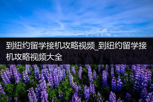 到纽约留学接机攻略视频_到纽约留学接机攻略视频大全