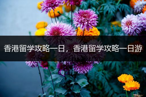 香港留学攻略一日，香港留学攻略一日游