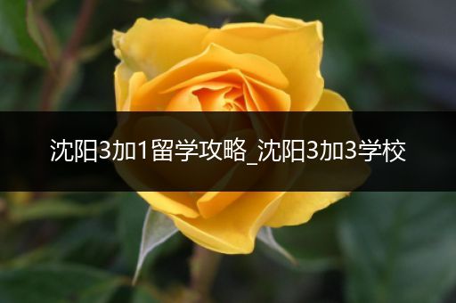 沈阳3加1留学攻略_沈阳3加3学校