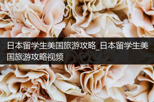 日本留学生美国旅游攻略_日本留学生美国旅游攻略视频