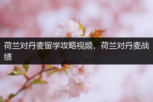荷兰对丹麦留学攻略视频，荷兰对丹麦战绩