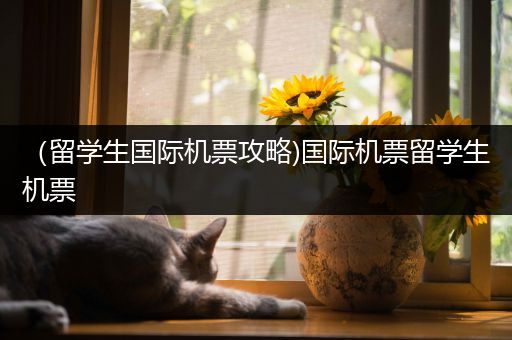（留学生国际机票攻略)国际机票留学生机票