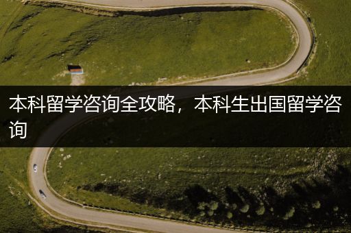 本科留学咨询全攻略，本科生出国留学咨询
