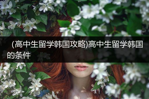 （高中生留学韩国攻略)高中生留学韩国的条件