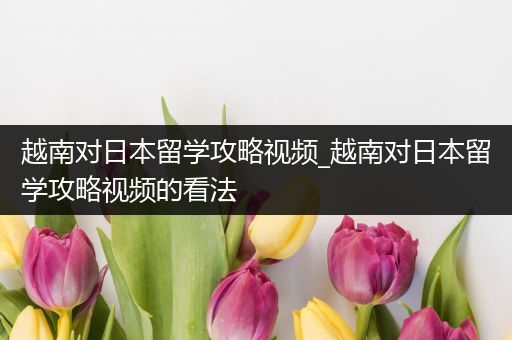 越南对日本留学攻略视频_越南对日本留学攻略视频的看法
