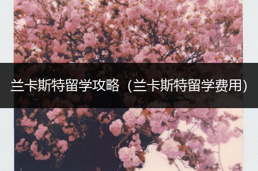 兰卡斯特留学攻略（兰卡斯特留学费用）