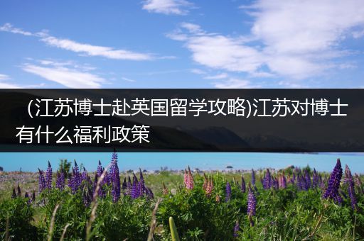 （江苏博士赴英国留学攻略)江苏对博士有什么福利政策