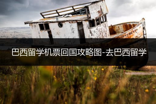 巴西留学机票回国攻略图-去巴西留学