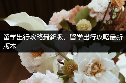 留学出行攻略最新版，留学出行攻略最新版本