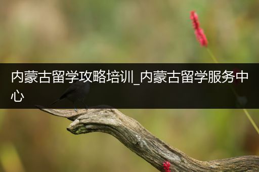 内蒙古留学攻略培训_内蒙古留学服务中心