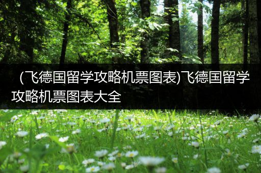 （飞德国留学攻略机票图表)飞德国留学攻略机票图表大全