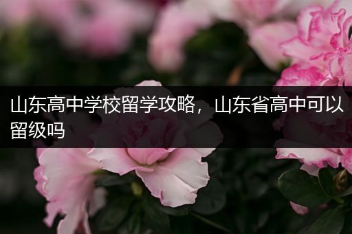 山东高中学校留学攻略，山东省高中可以留级吗